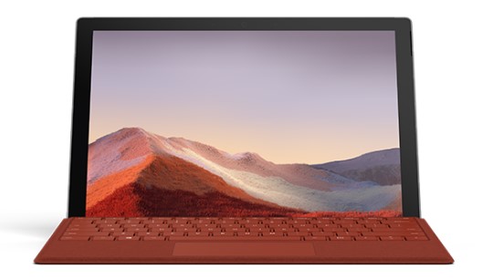 新州镇清洁和维护 Surface